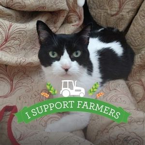 Meet your Posher, Diane